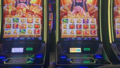 WhatsApp Image 2025-08-29 at 11.37.04